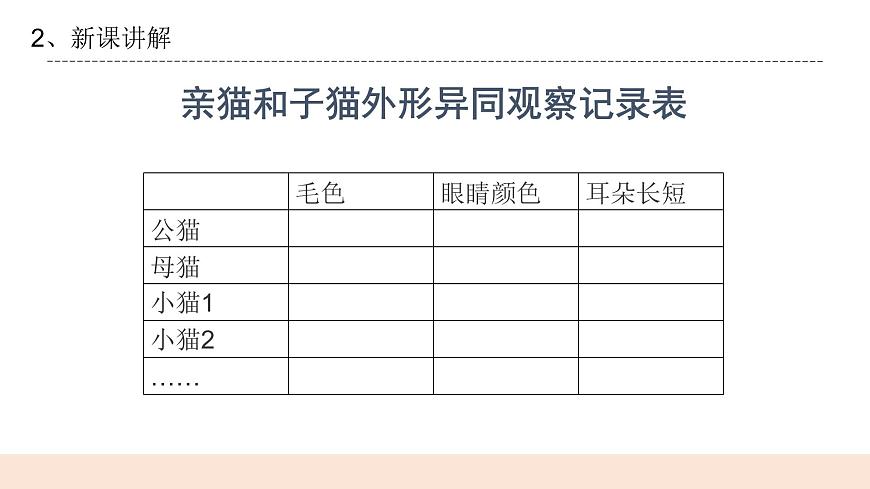 4.3《生物的變異現(xiàn)象》課件第5頁(yè)