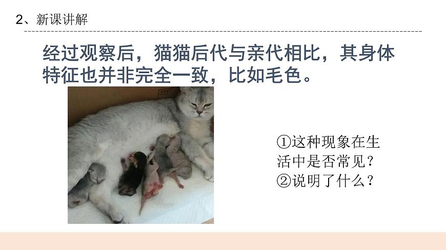 4.3《生物的變異現(xiàn)象》課件第7頁(yè)