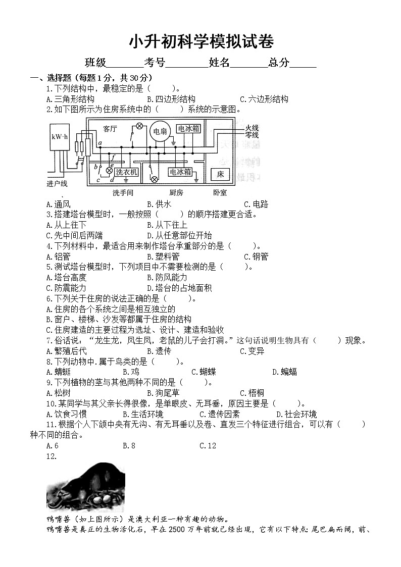 小学科学教科版小升初模拟试卷(2022新版)2(附参考答案)01