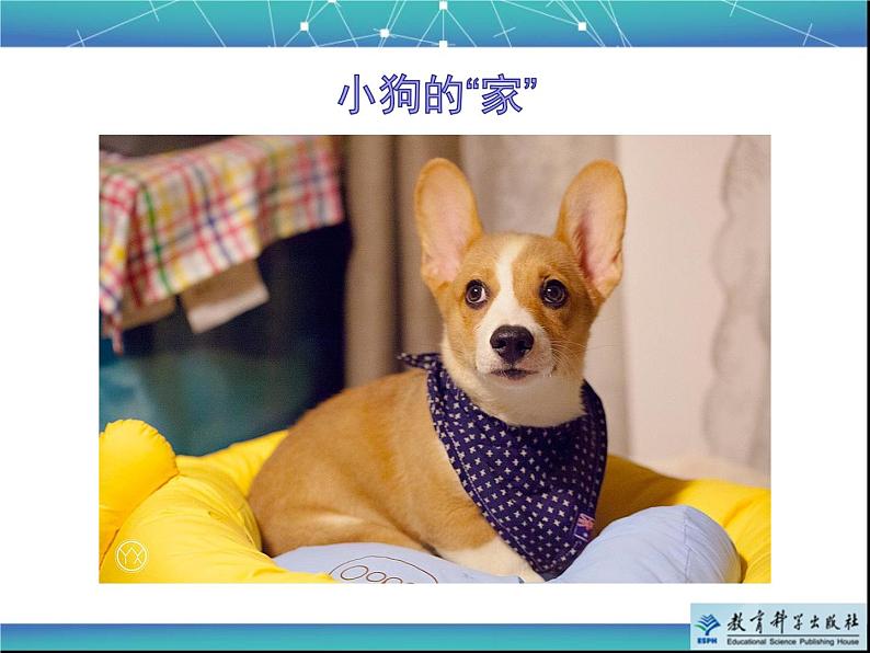 《给动物建个“家”》教学课件第3页