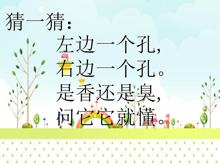 3.動(dòng)物的鼻子 課件PPT第1頁(yè)