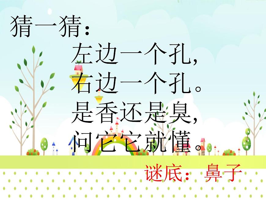 3.動(dòng)物的鼻子 課件PPT第2頁(yè)