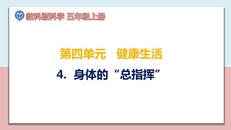 小学五年级科学上册 第四单元 第4课《身体的“总指挥”》课件+练习 (教科版2017)01