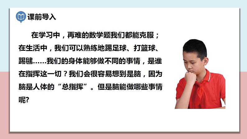 小学五年级科学上册 第四单元 第4课《身体的“总指挥”》课件+练习 (教科版2017)02