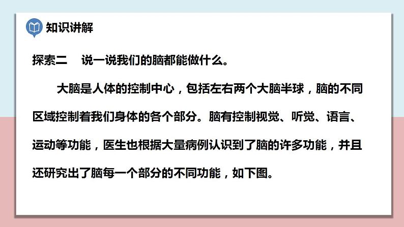 小学五年级科学上册 第四单元 第4课《身体的“总指挥”》课件+练习 (教科版2017)05
