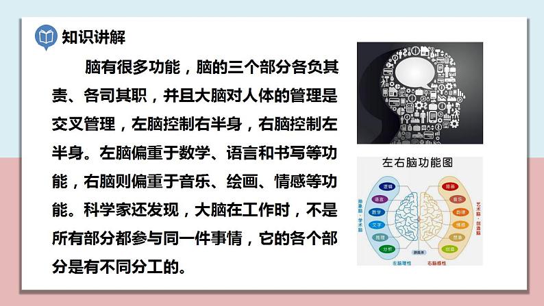 小学五年级科学上册 第四单元 第4课《身体的“总指挥”》课件+练习 (教科版2017)07