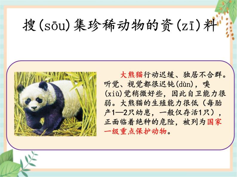 湘科版科学三年级上册2.5珍稀动物 课件03