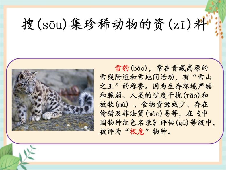湘科版科学三年级上册2.5珍稀动物 课件04