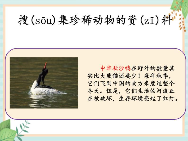 湘科版科学三年级上册2.5珍稀动物 课件05