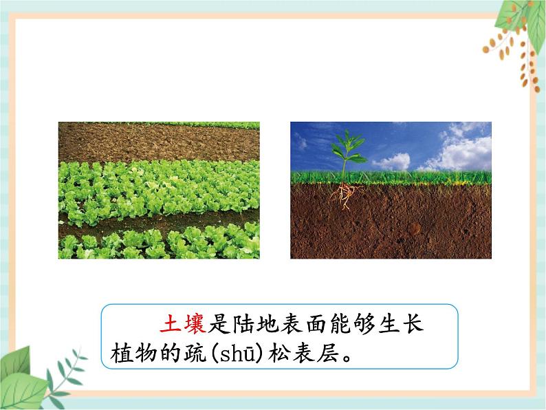 湘科版科学三年级上册3.1采集土壤 课件03