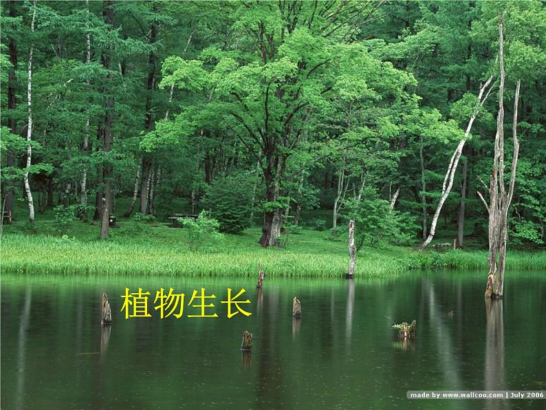 湘科版科学三年级上册3.4土壤的保护 课件03
