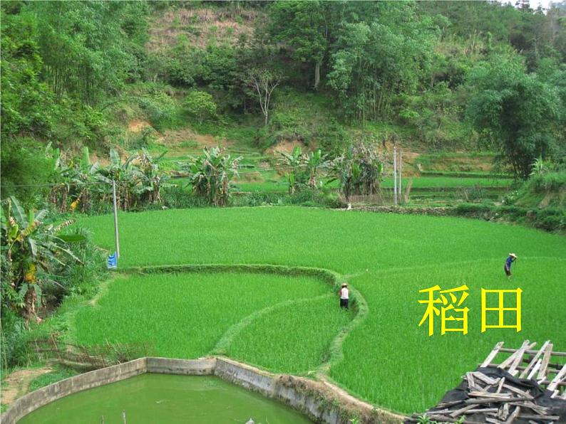 湘科版科学三年级上册3.4土壤的保护 课件07