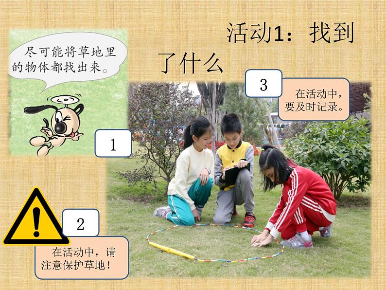 第11课《草地里有什么》教学课件04