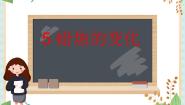 小学科学5、蜡烛的变化教课内容课件ppt