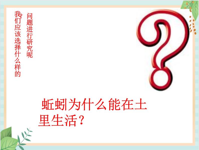 青岛版六三制6上科学《20 蚯蚓找家》课件103