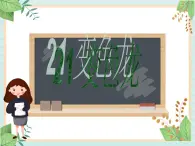 青岛版六三制6上科学《21 变色龙》课件1