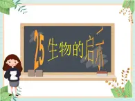 青岛版六三制6上科学《25 生物的启示》课件1