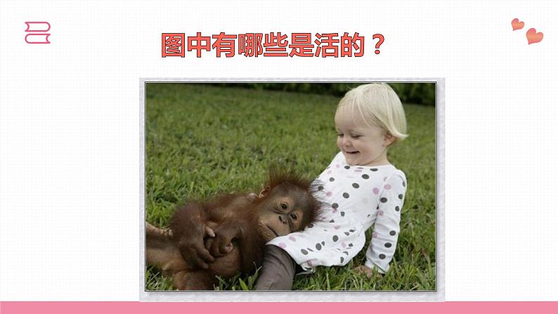 教科版科学一年级上册 第一单元植物 5.植物是“活”的吗 课件08