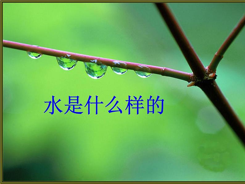 三年级上册科学课件-8水是什么样的 |鄂教版 (共17张PPT)03