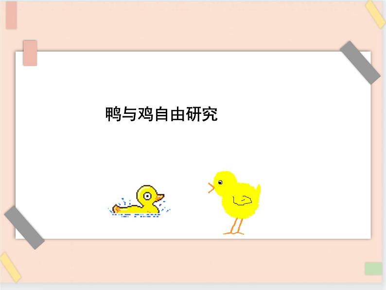 三年级上册科学课件-20《鸭与鸡》|鄂教版 (共9张PPT)第1页