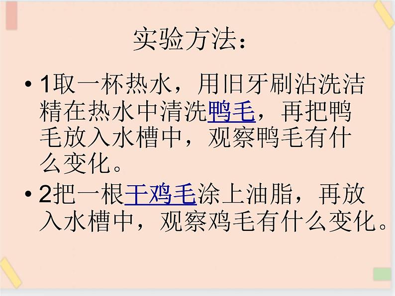 三年级上册科学课件-20《鸭与鸡》|鄂教版 (共9张PPT)第3页