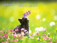 三年级上册科学课件－21《猫》 ｜鄂教版           (共18张PPT)