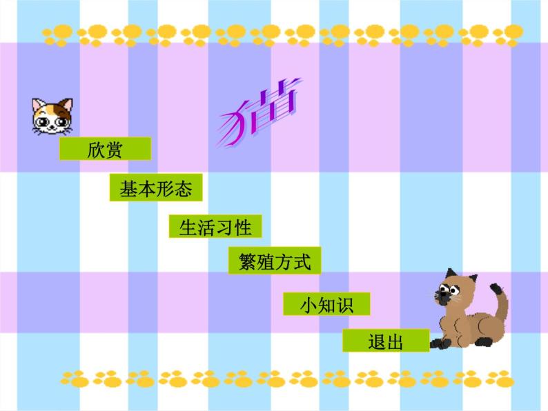 三年级上册科学课件－21《猫》 ｜鄂教版           (共18张PPT)02