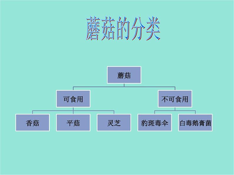五年级上册科学课件-第4课《蘑菇》|鄂教版 (共19张PPT)第2页