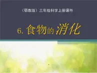 2022鄂教版科学三年级上册第6课《食物的消化》ppt课件_1