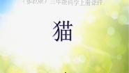 科学三年级上册21 猫课文内容课件ppt