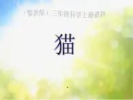 2022鄂教版科学三年级上册第21课《猫》ppt课件_1