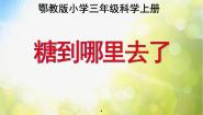科学三年级上册13 糖到哪里去了多媒体教学ppt课件