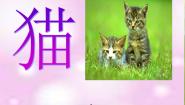 科学三年级上册21 猫图文ppt课件