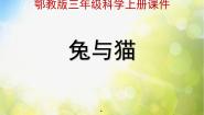 小学科学鄂教版三年级上册22 兔与猫教案配套课件ppt