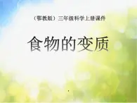 2022鄂教版科学三年级上册第7课《食物的变质》ppt课件