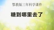 小学科学鄂教版三年级上册第二单元 饮用水13 糖到哪里去了示范课ppt课件