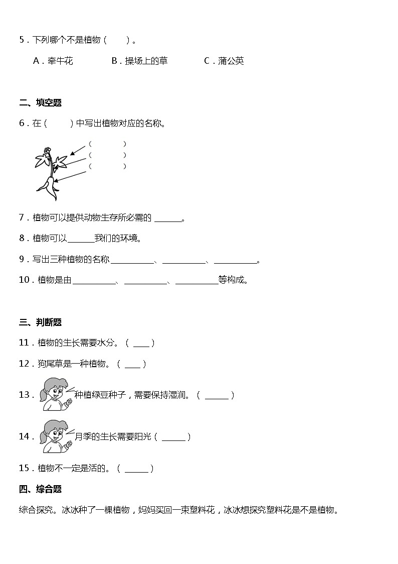 1.1《我们知道的植物》同步练习题(含答案)02