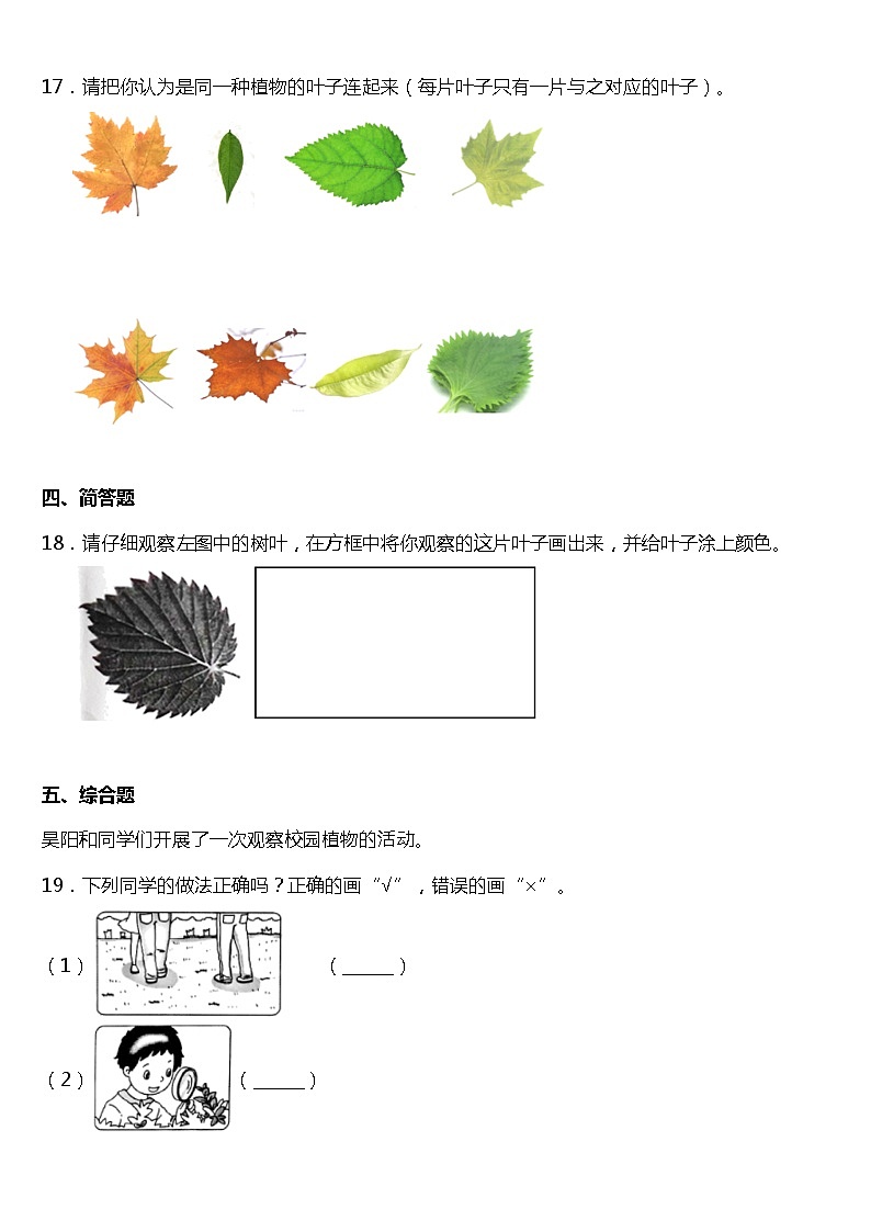 1.4《这是谁的叶》同步练习题(含答案)03