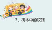 鄂教版五年级上册第一单元 走进树林3 树木中的纹路备课ppt课件