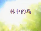2022鄂教版科学五年级上册第5课《林中的鸟》ppt课件_1