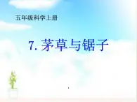 2022鄂教版科学五年级上册第7课《茅草与锯子》ppt课件_1