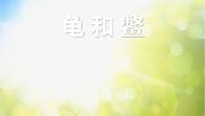 科学五年级上册10 龟和鳖授课课件ppt