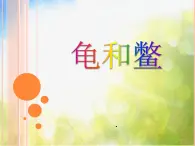 2022鄂教版科学五年级上册第10课《龟和鳖》ppt课件_2