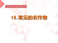 2022鄂教版科学五年级上册第19课《常见的农作物》ppt课件