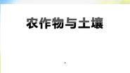 2021学年第四单元 农田20 农作物与土壤课文内容ppt课件