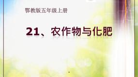 鄂教版五年级上册21 农作物与化肥课文配套课件ppt