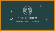 小学湘科版 (2017)1 阳光下的植物备课ppt课件