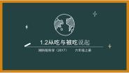 湘科版 (2017)六年级上册2 从吃与被吃说起教案配套ppt课件