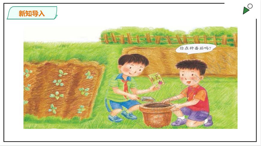 粵教粵科版科學(xué)四上1.1《種番茄》PPT課件第2頁(yè)