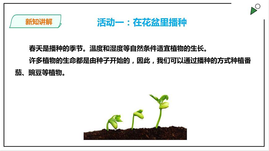 粵教粵科版科學(xué)四上1.1《種番茄》PPT課件第4頁(yè)